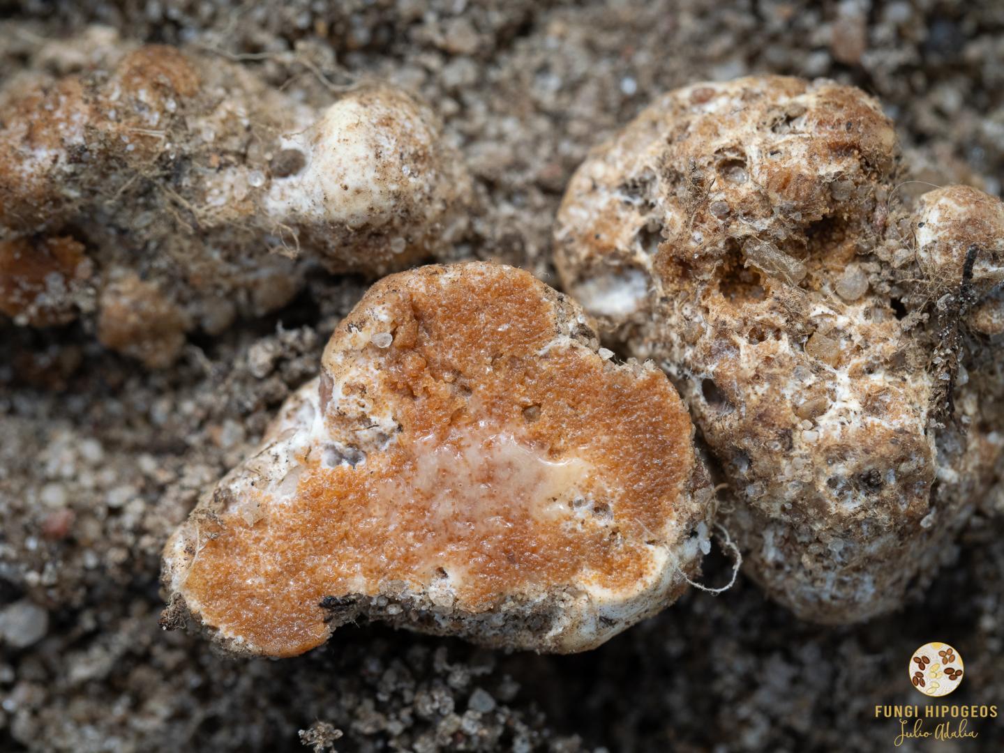 Imagen de portada 1440