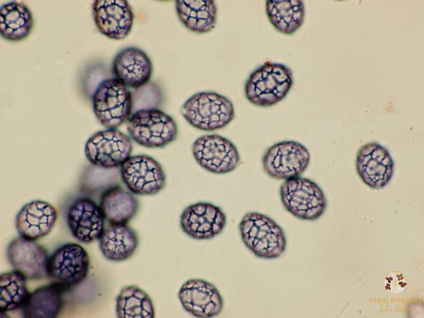 Imagen de portada 1124