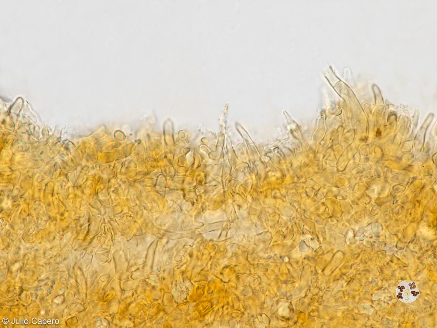 Imagen de portada 1422