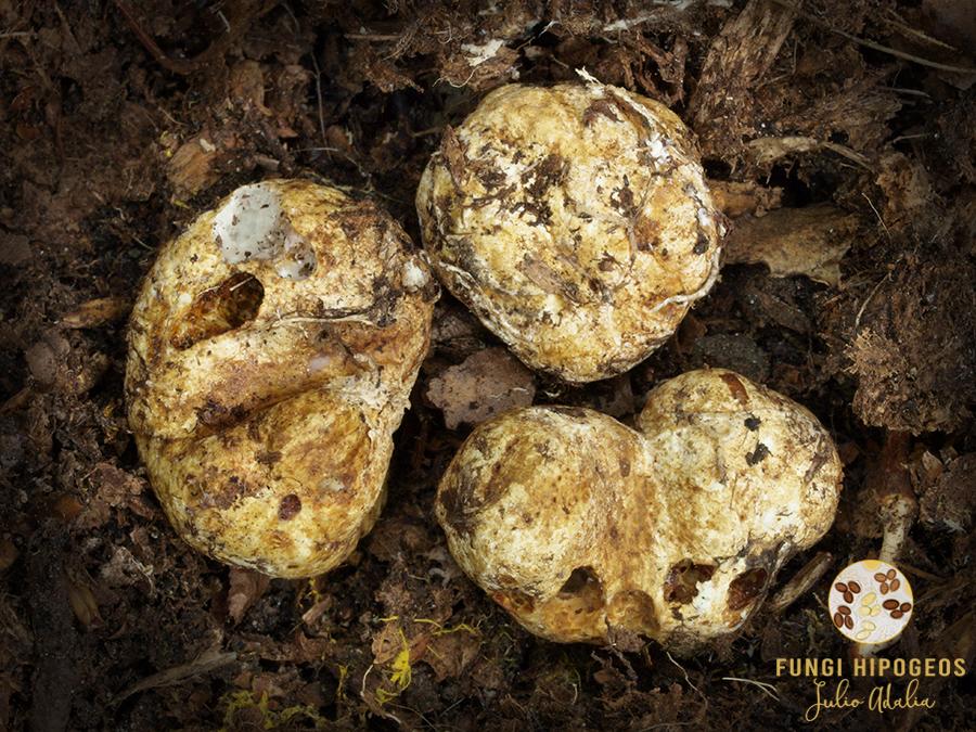 Imagen de portada 1112