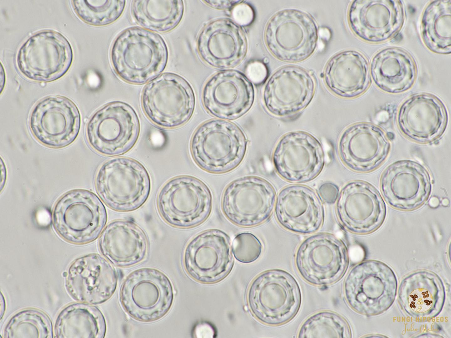 Imagen de portada 1114