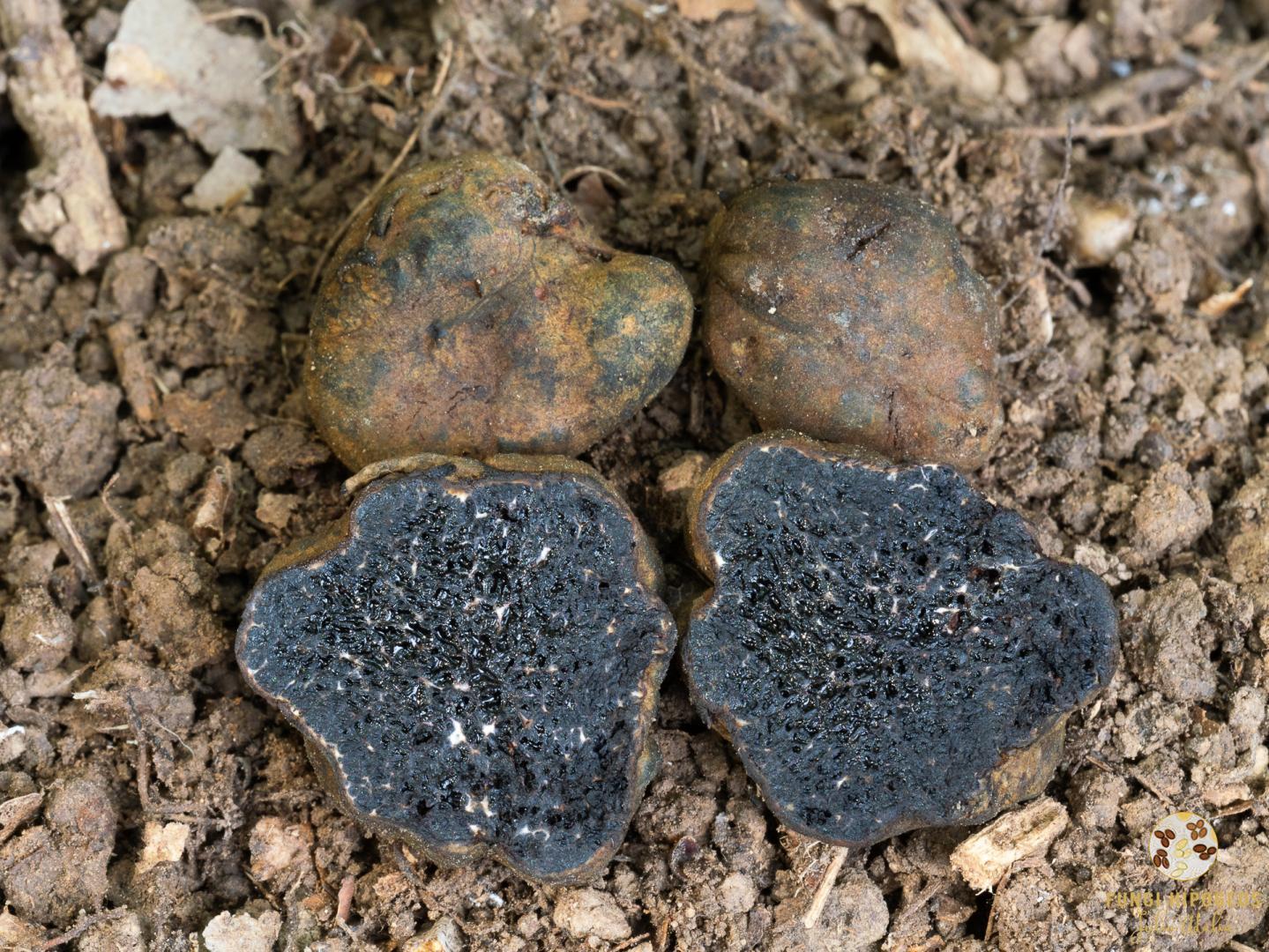 Imagen de portada 1314