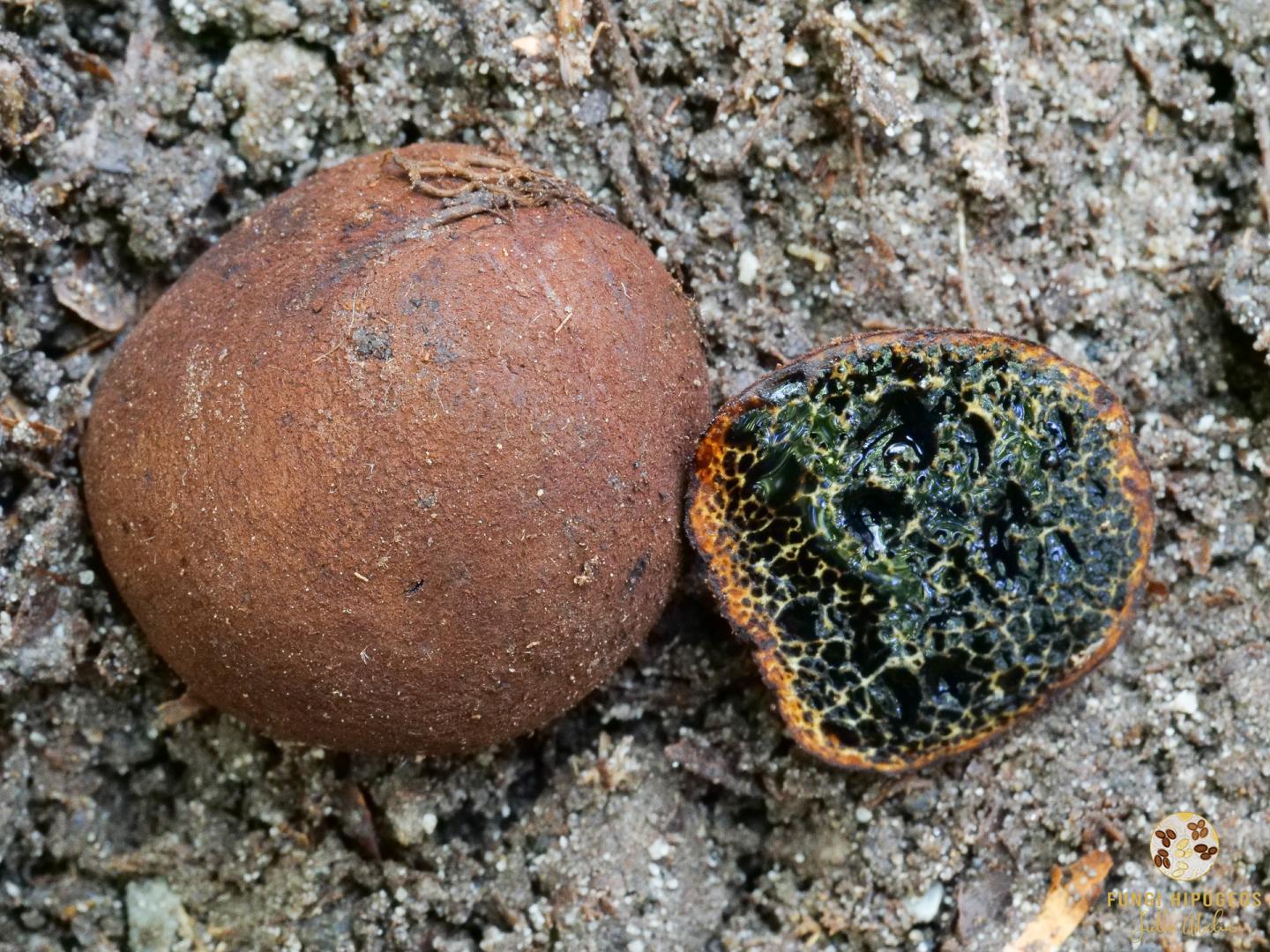 Imagen de portada 1350