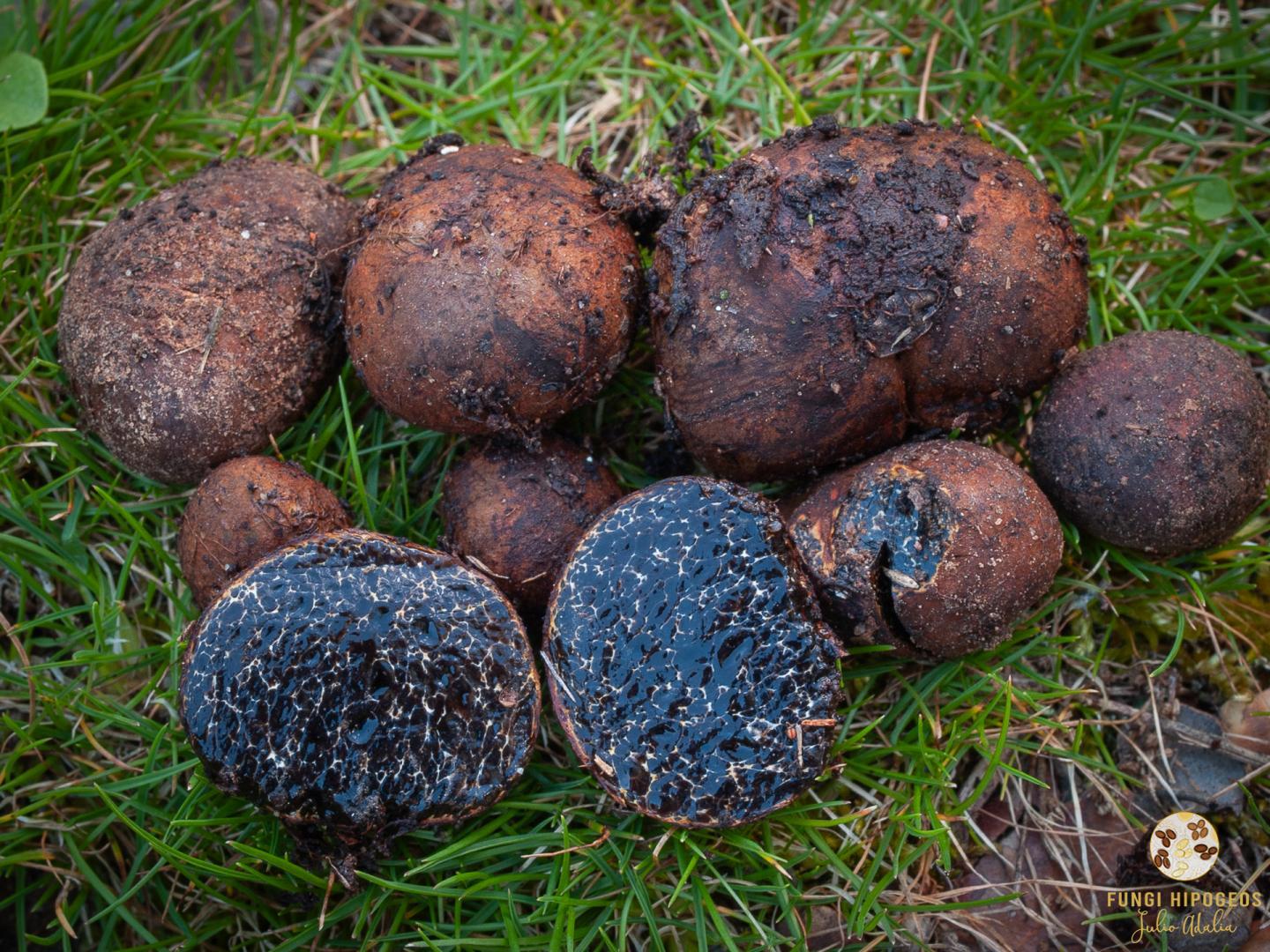 Imagen de portada 1298