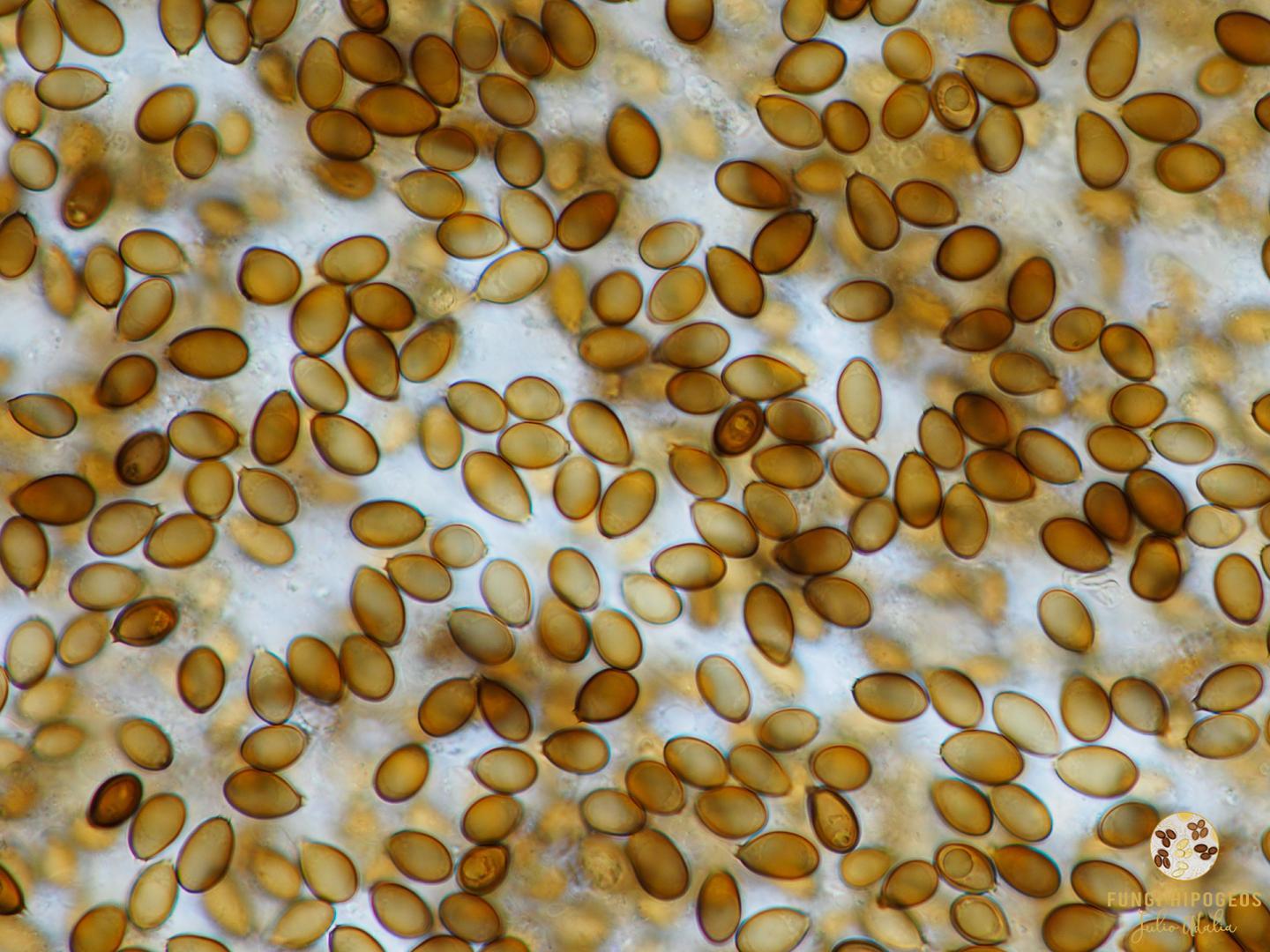 Imagen de portada 1300