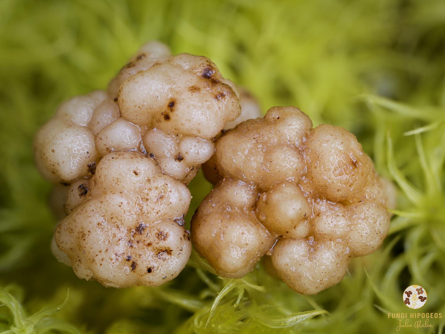 Imagen de portada 579