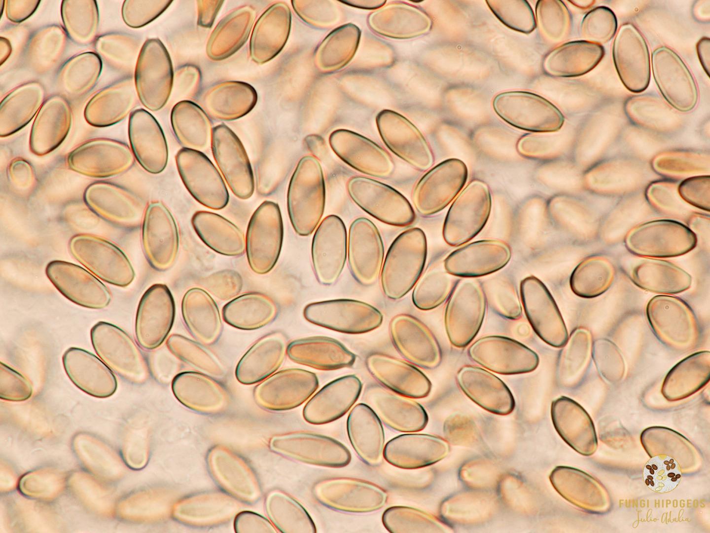 Imagen de portada 1340