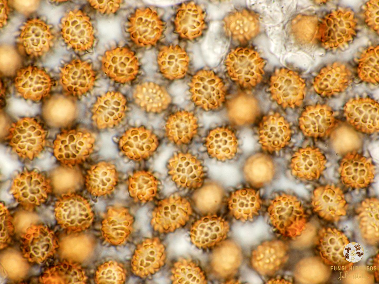 Imagen de portada 1270