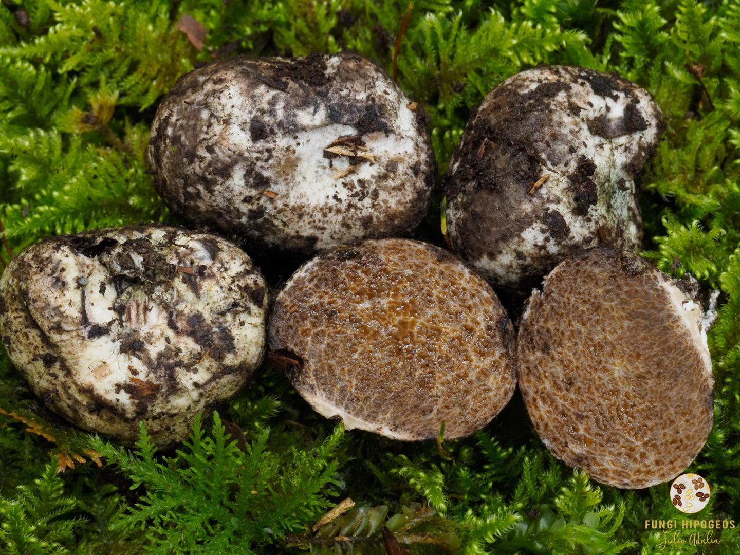 Imagen de portada 1276