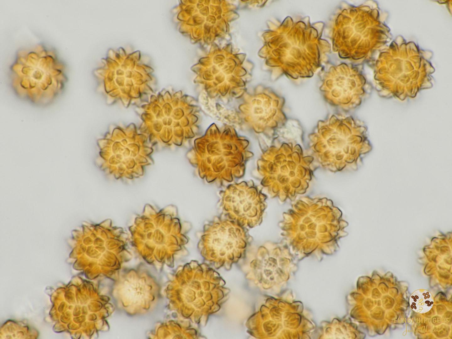 Imagen de portada 1279