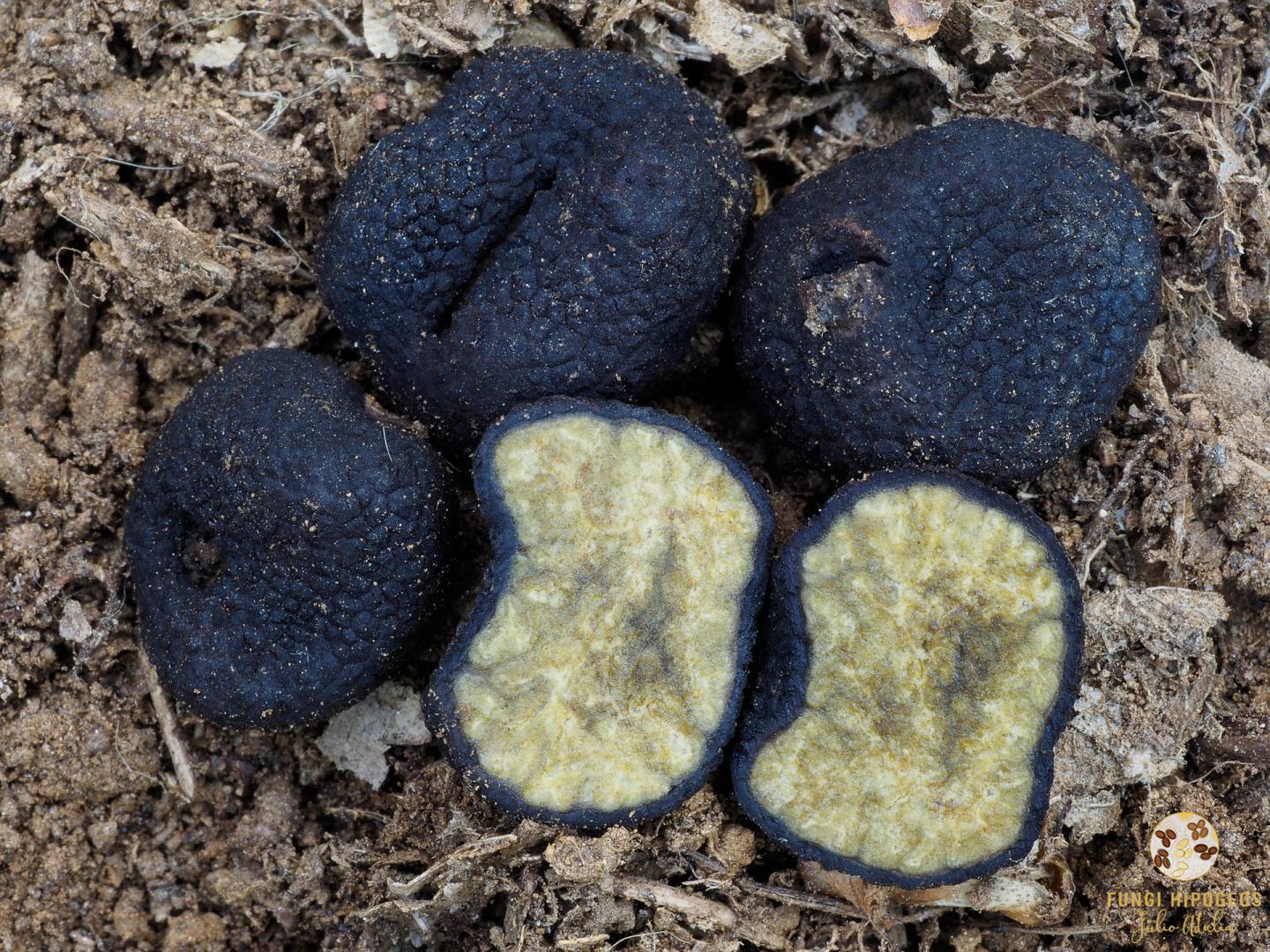 Imagen de portada 897