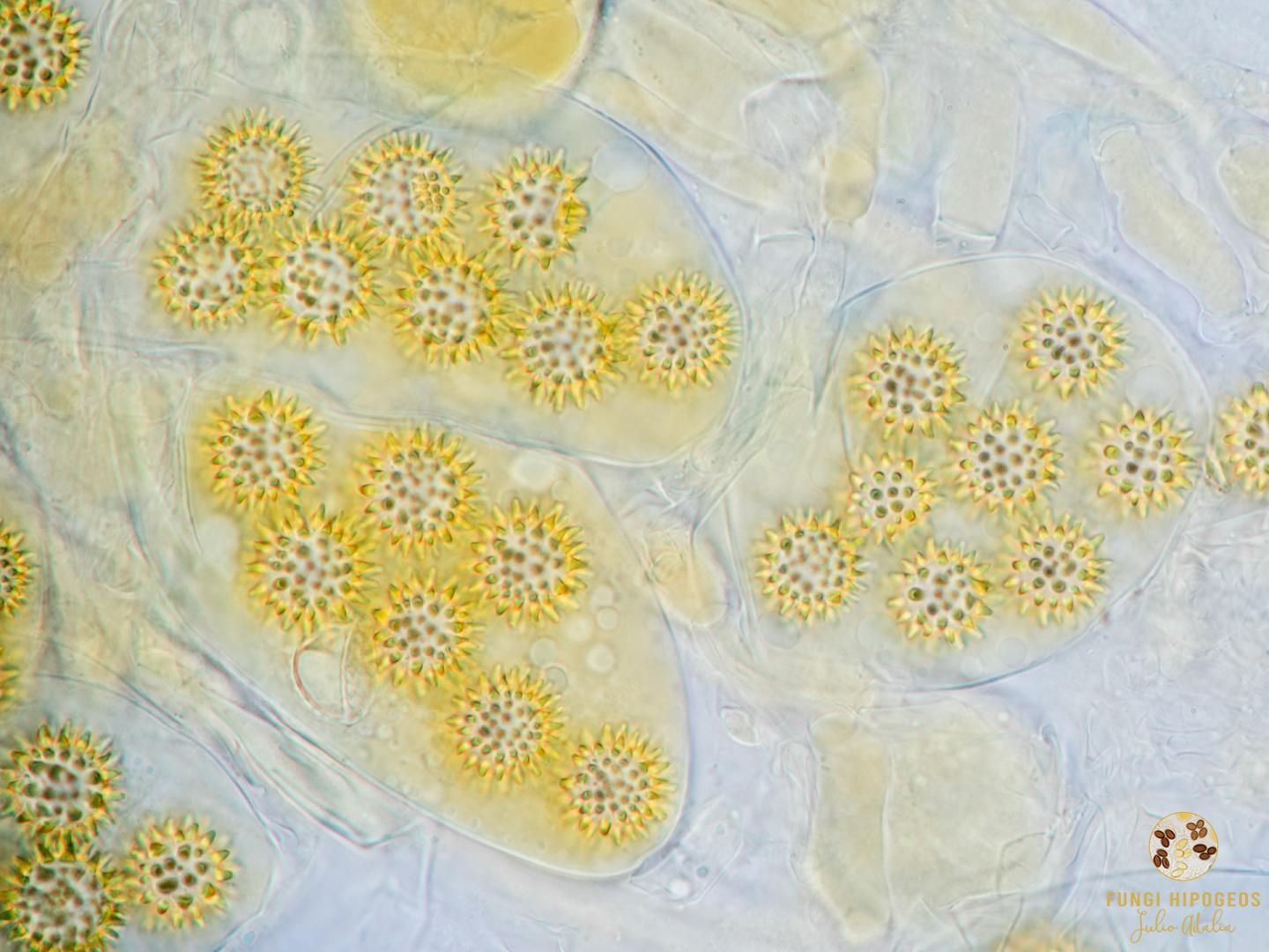 Imagen de portada 900