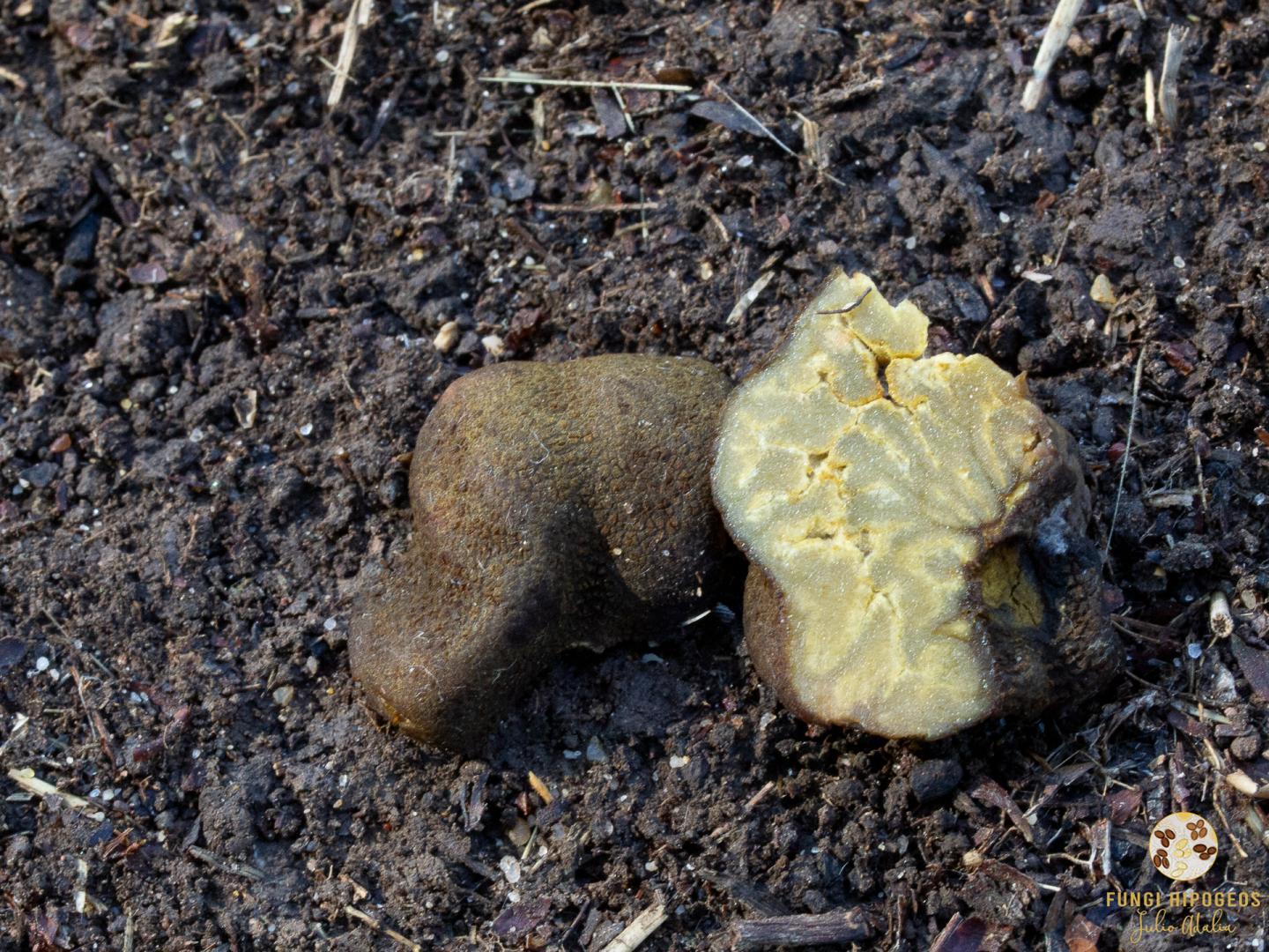 Imagen de portada 907