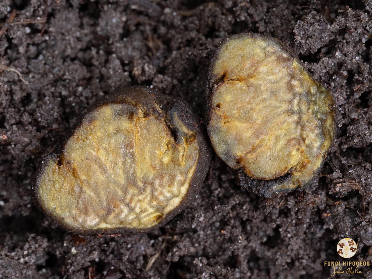 Imagen de portada 908