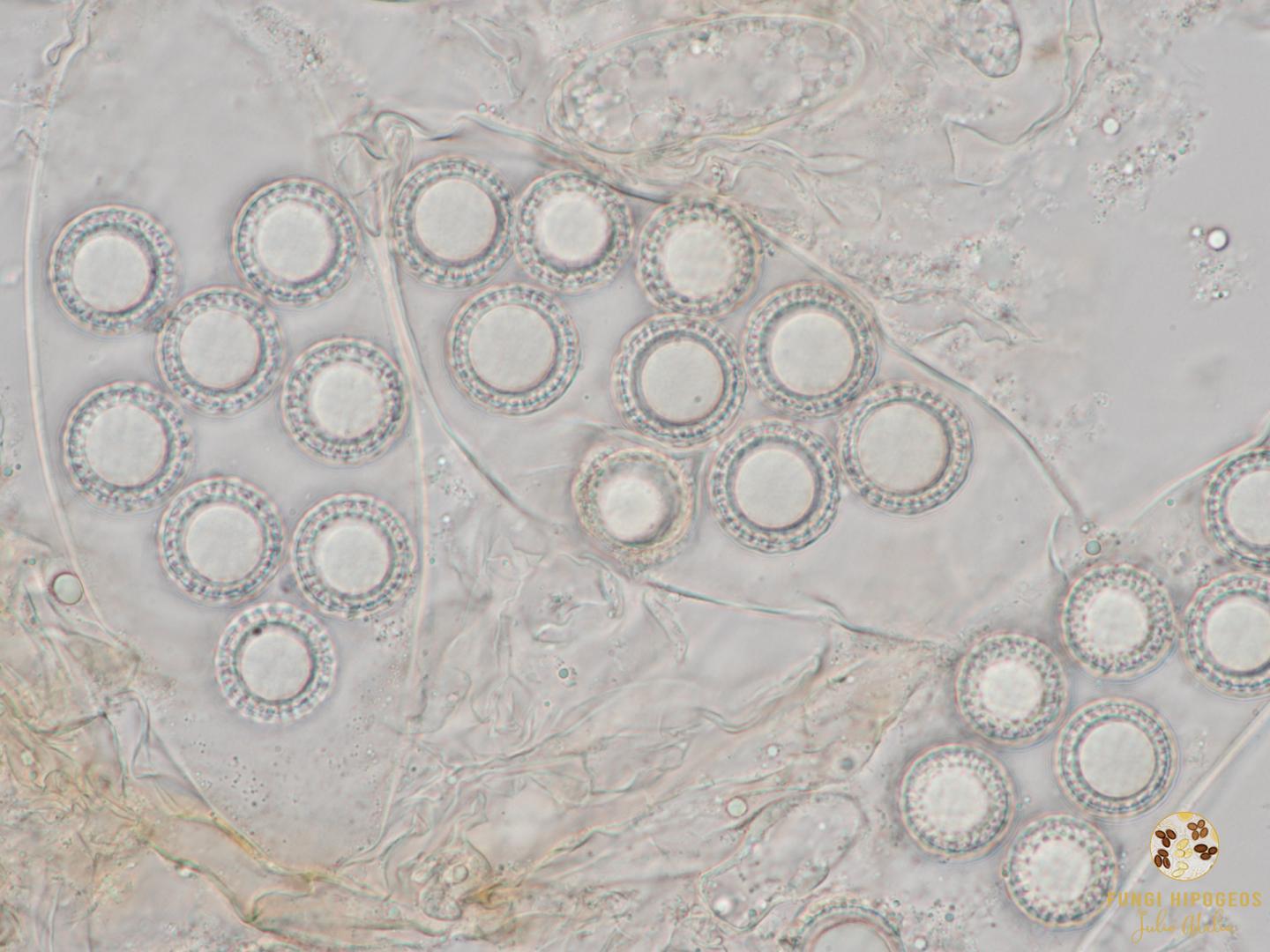 Imagen de portada 912