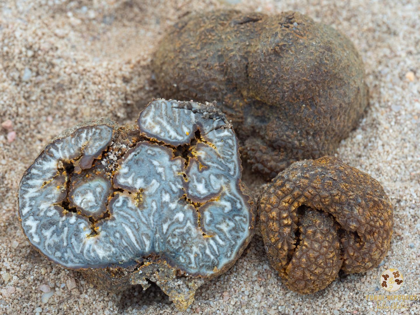 Imagen de portada 916