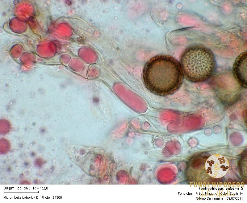 Imagen de portada 922