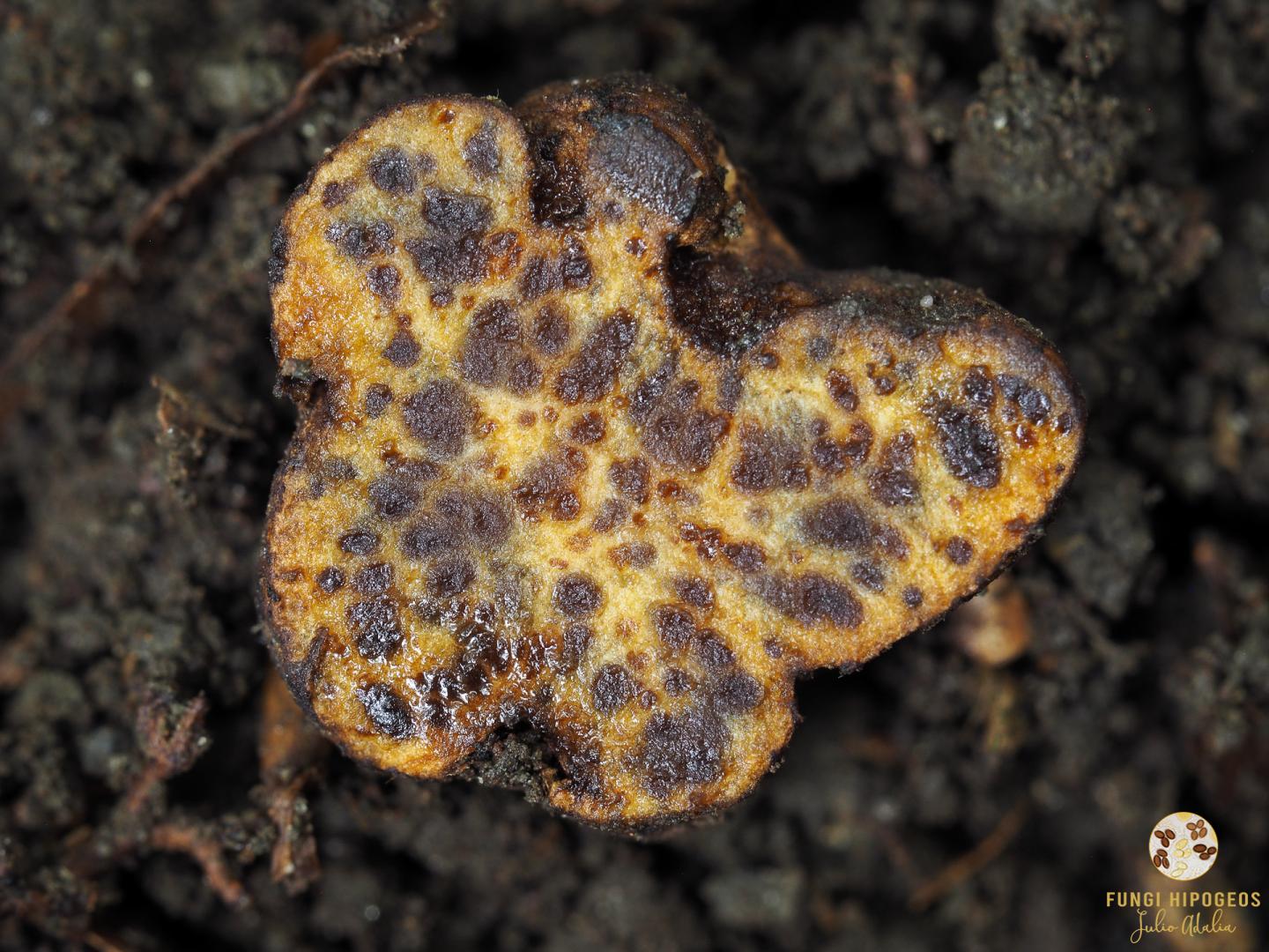 Imagen de portada 1328