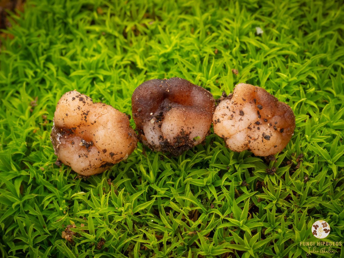 Imagen de portada 375