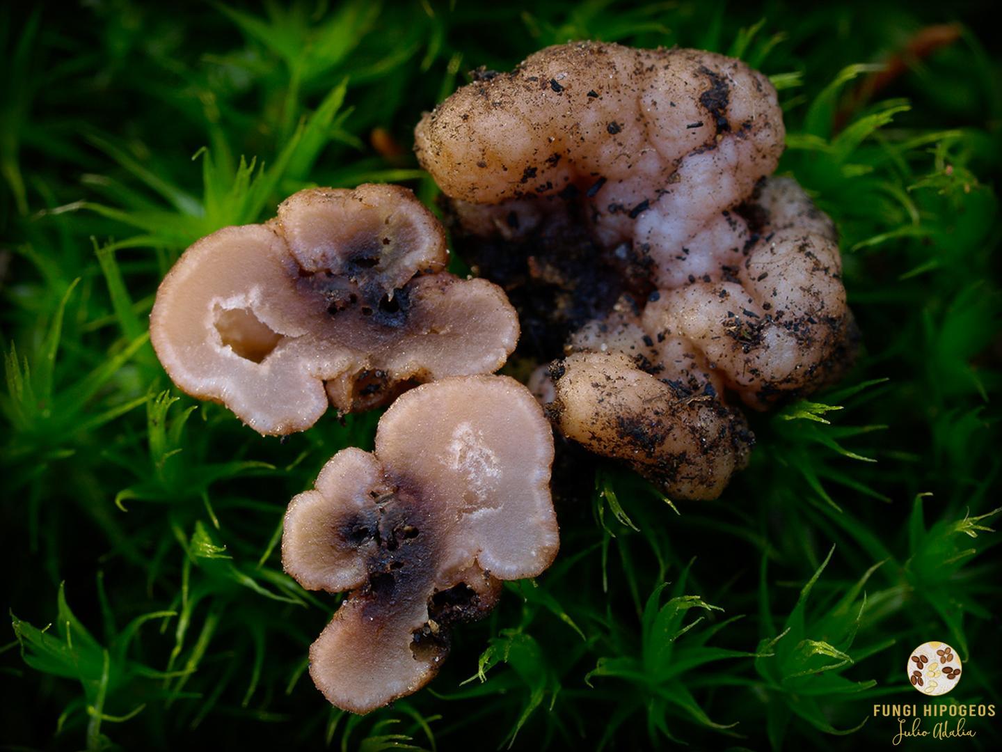 Imagen de portada 376