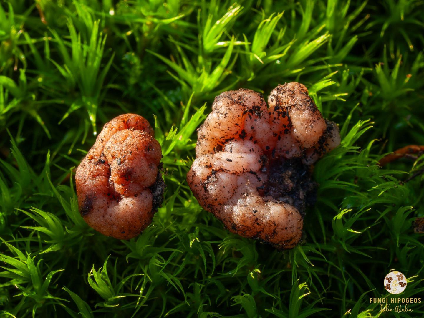 Imagen de portada 377