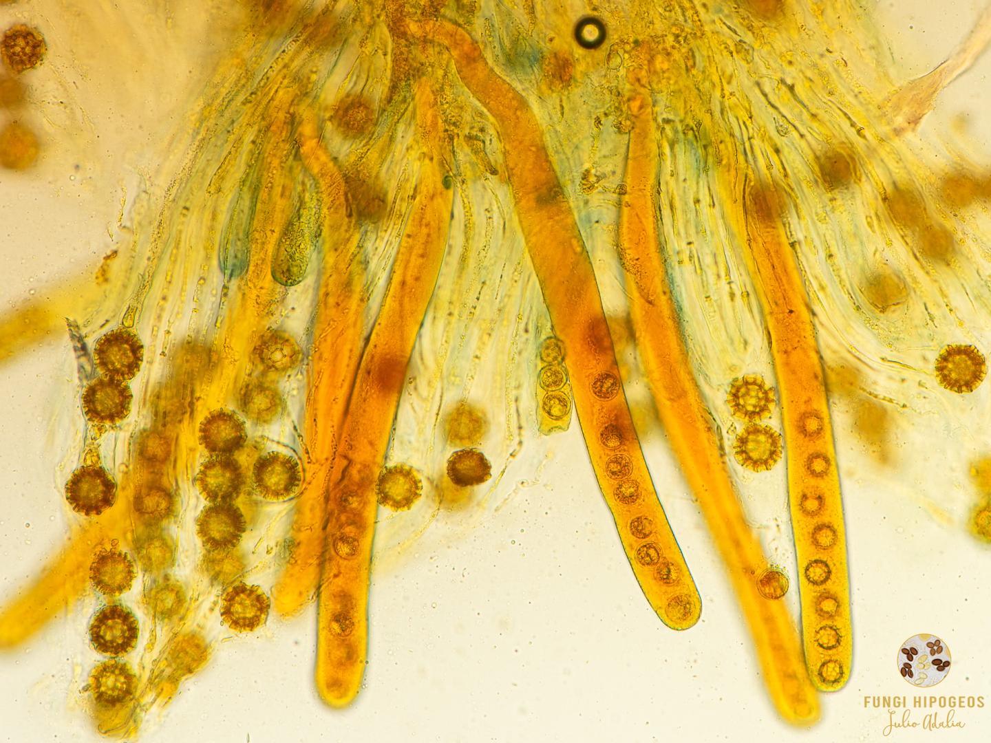 Imagen de portada 378