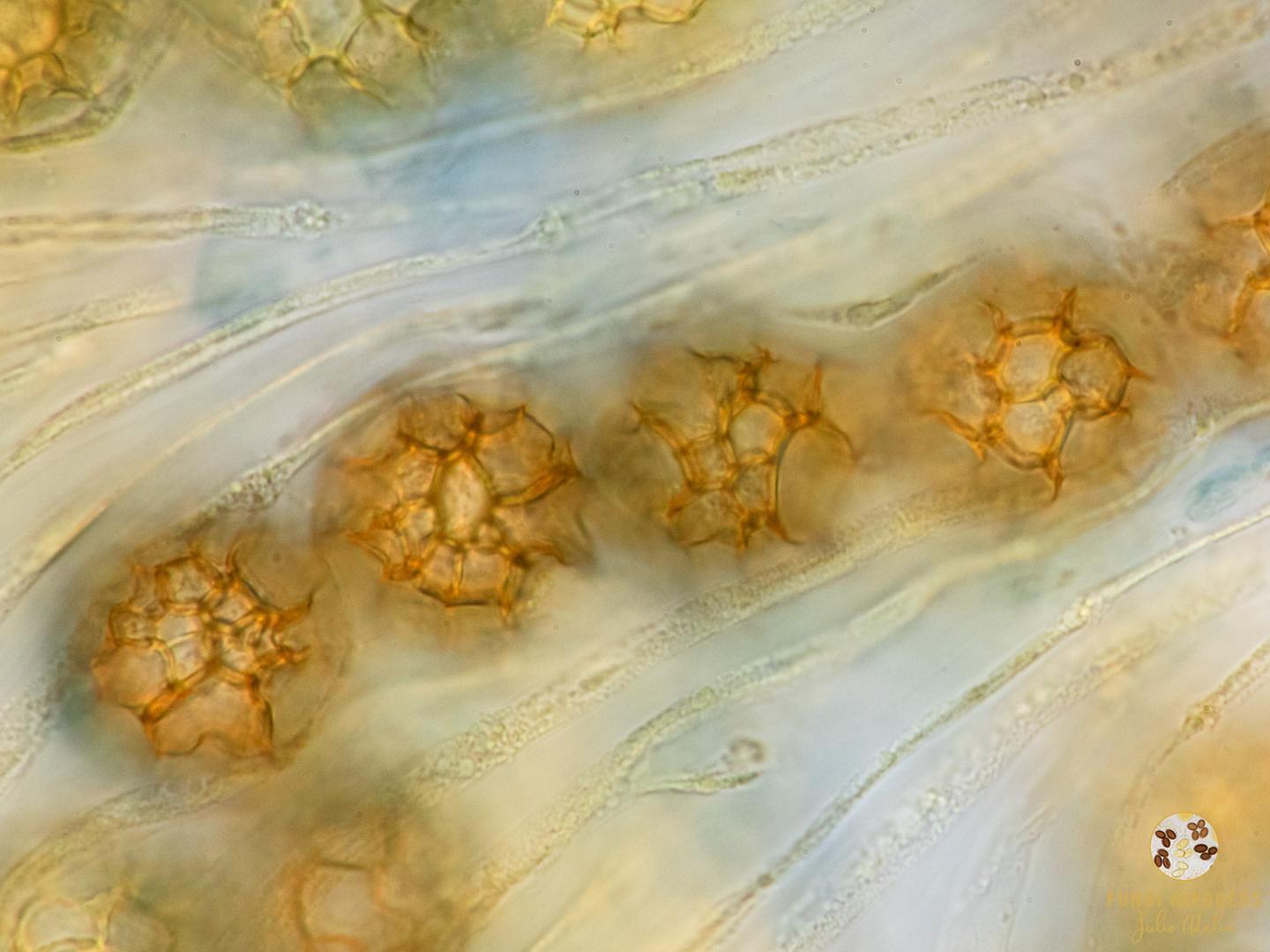 Imagen de portada 380