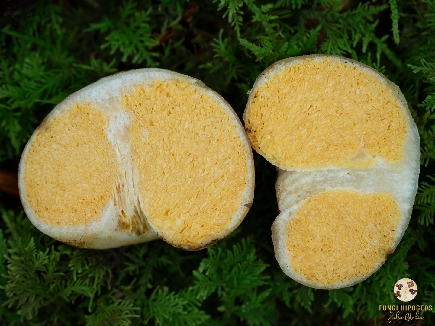 Imagen de portada 1427