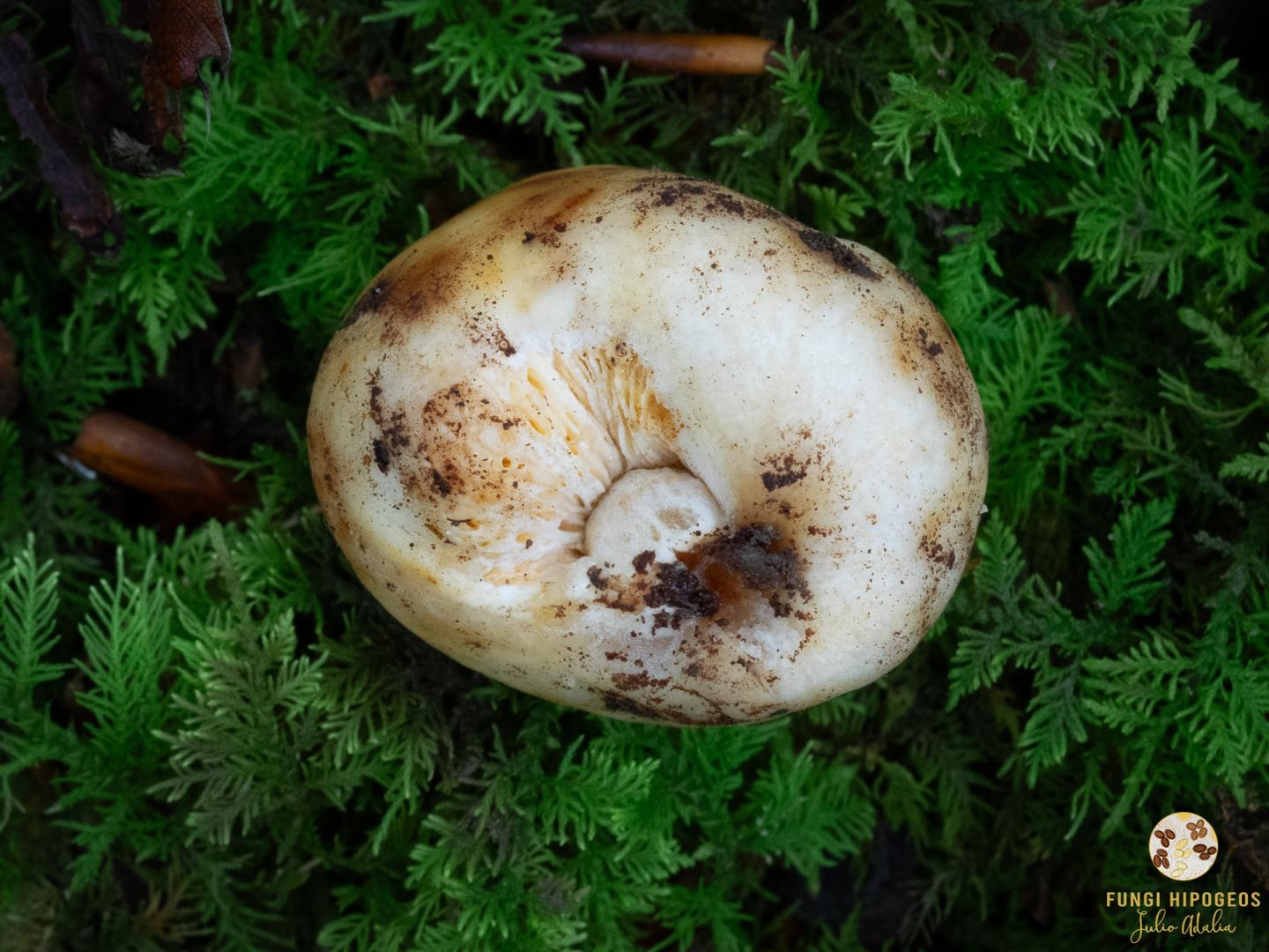 Imagen de portada 1428