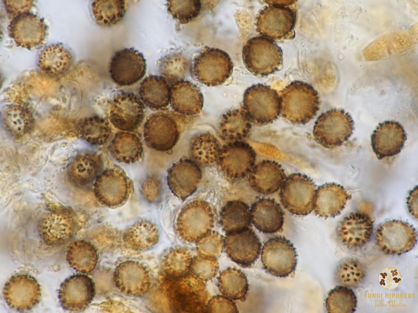 Imagen de portada 1430