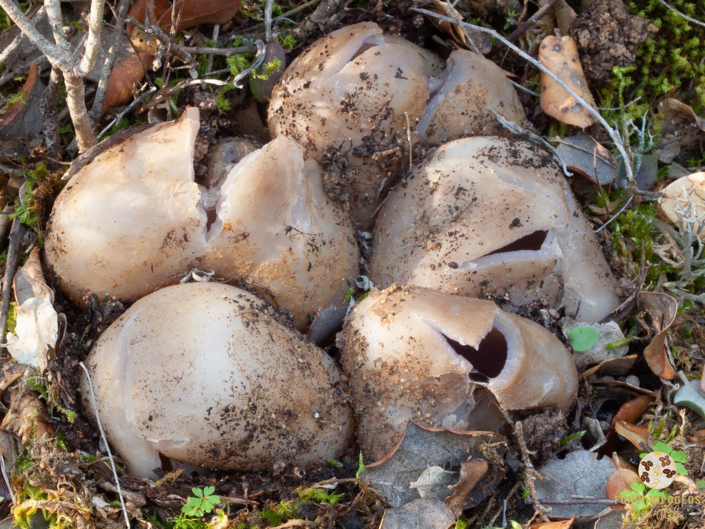 Imagen de portada 384