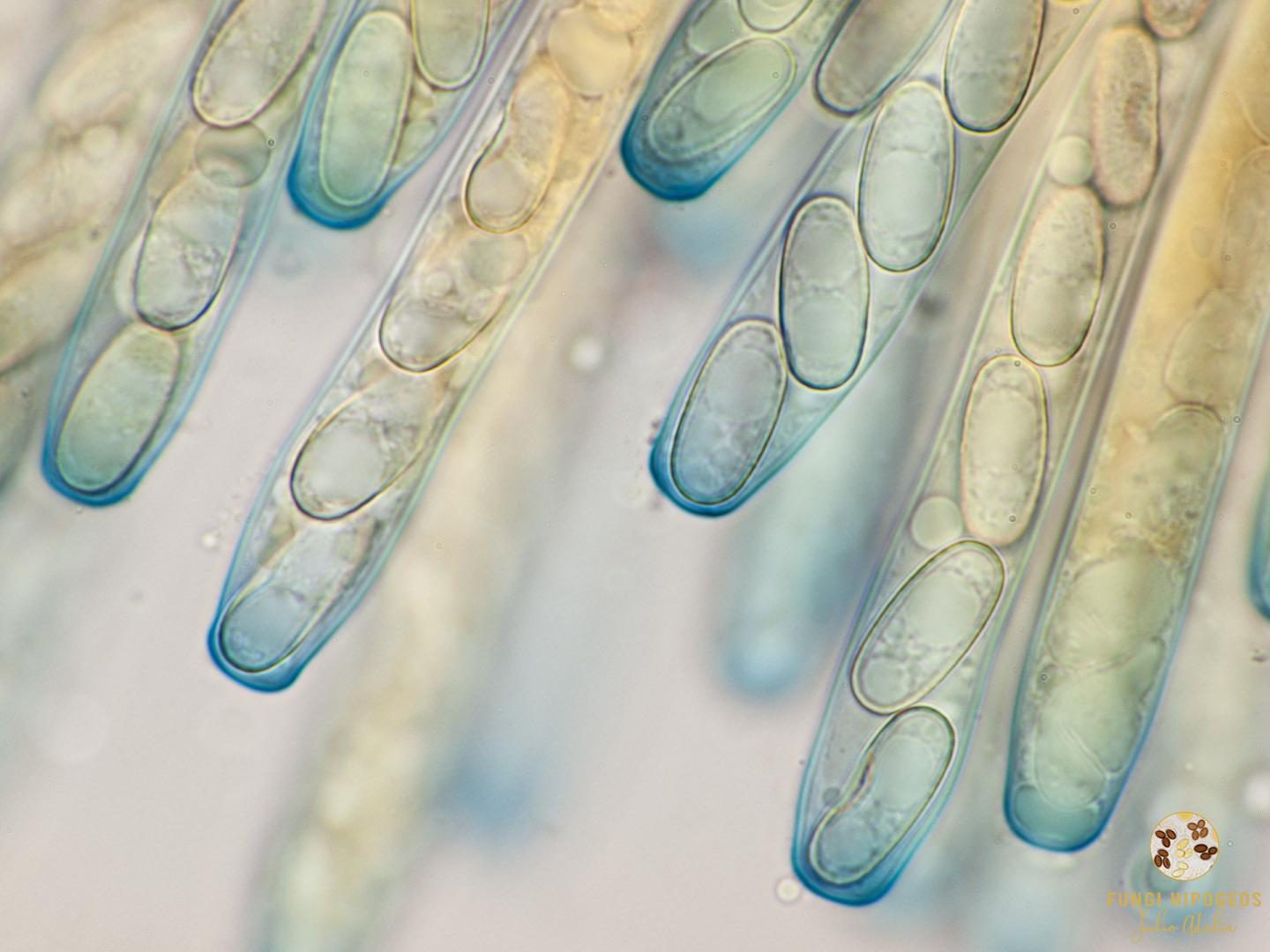 Imagen de portada 387