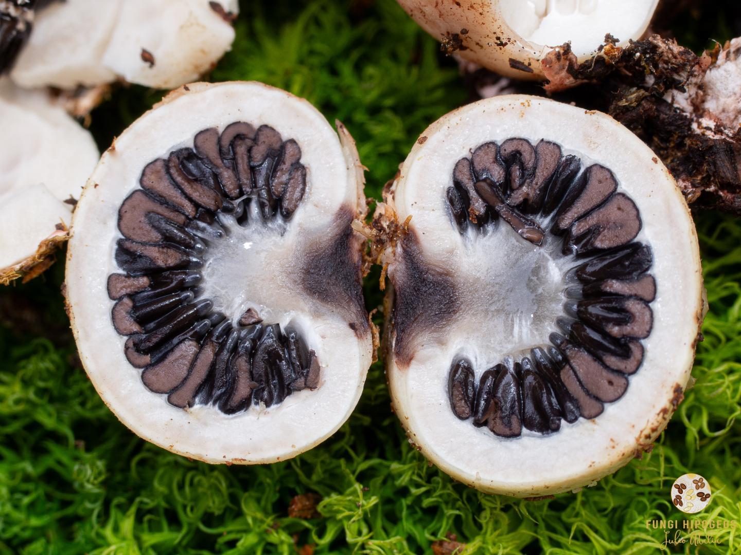 Imagen de portada 1140