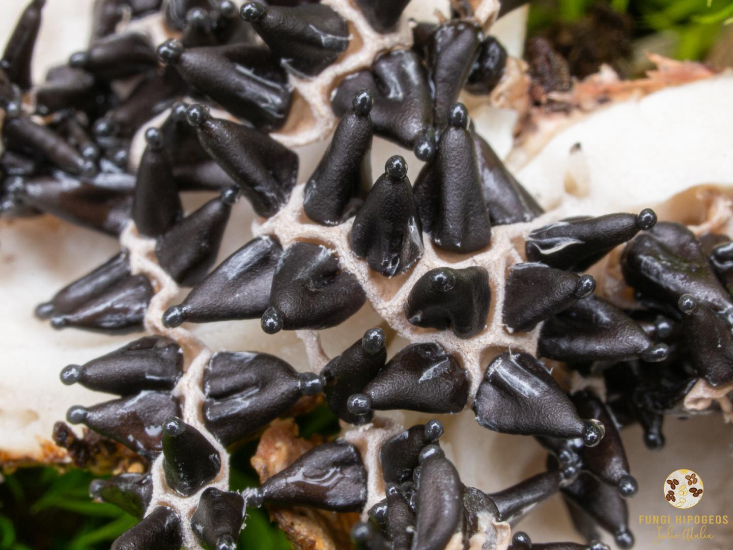 Imagen de portada 1144