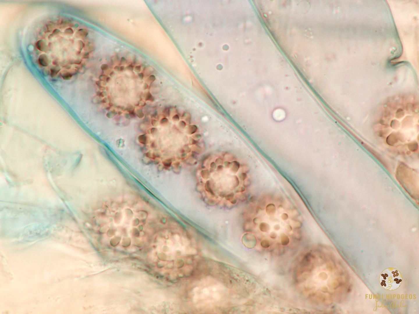 Imagen de portada 393