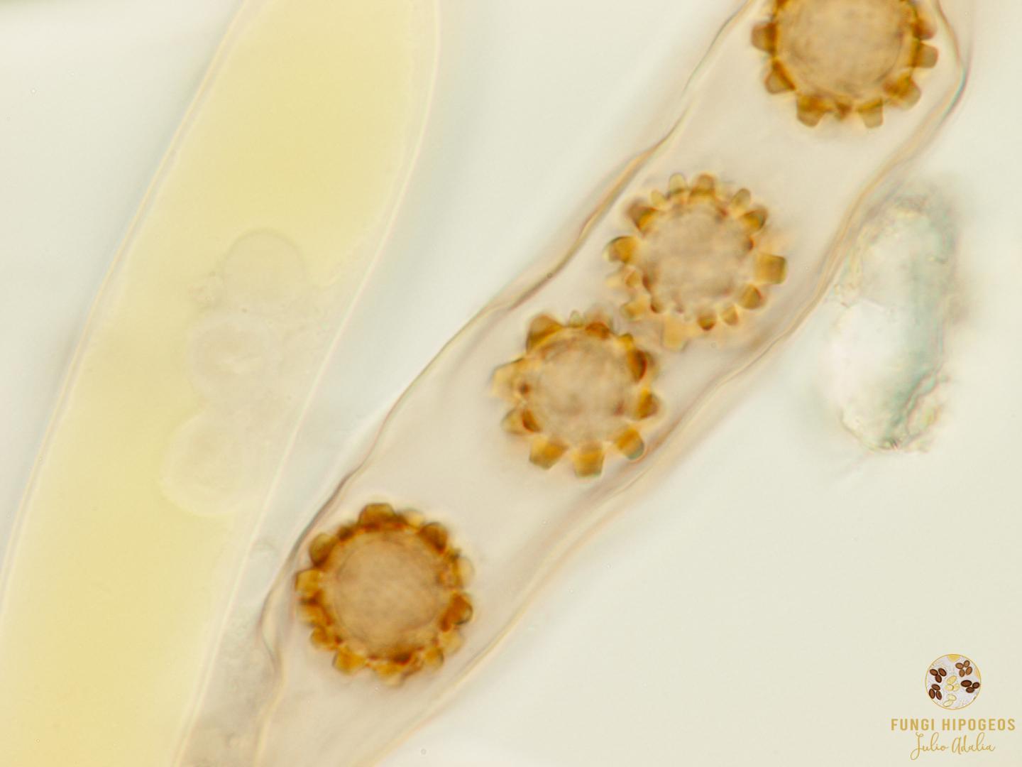 Imagen de portada 394