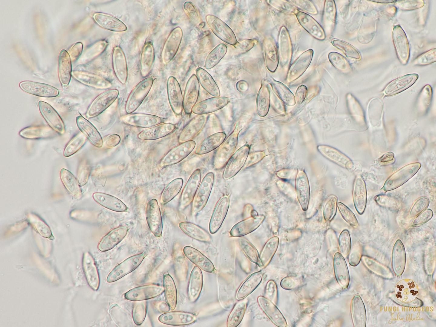 Imagen de portada 1105