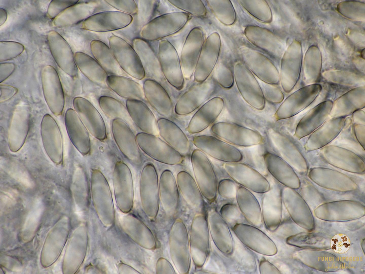 Imagen de portada 1107