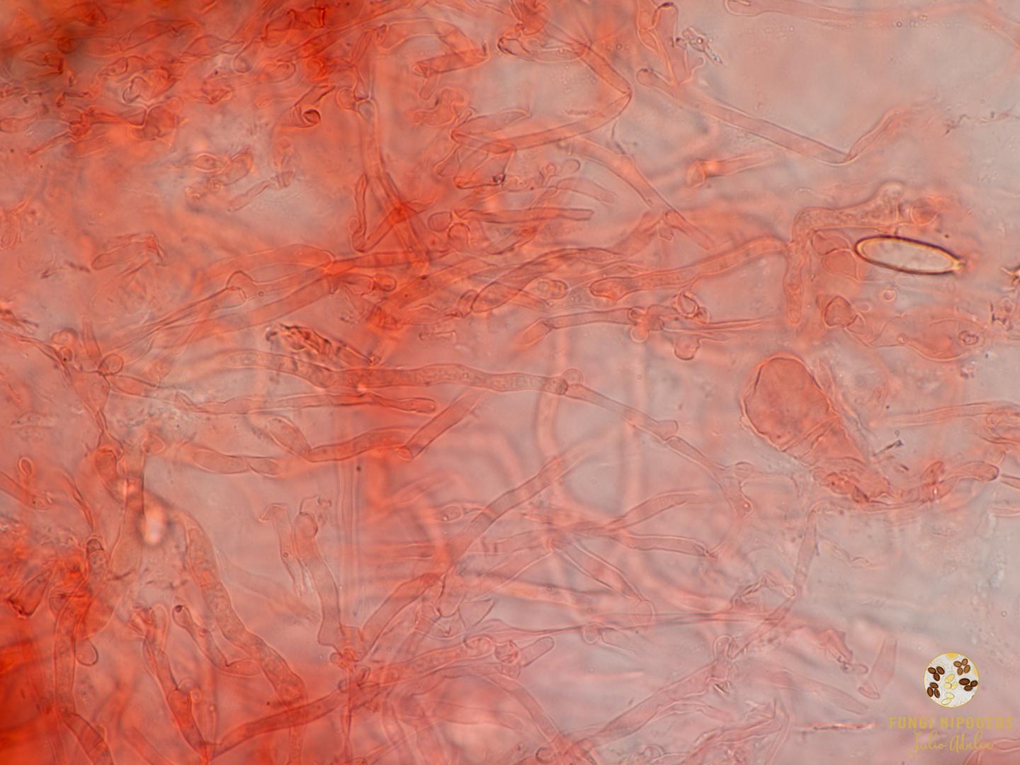 Imagen de portada 1108