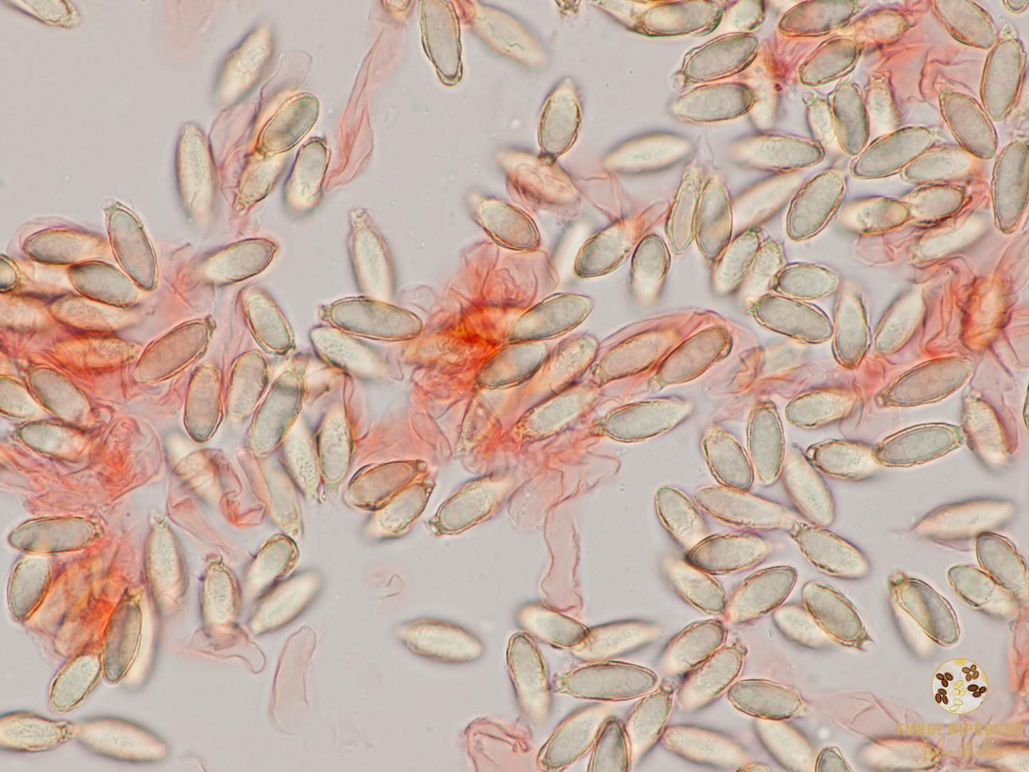 Imagen de portada 1361