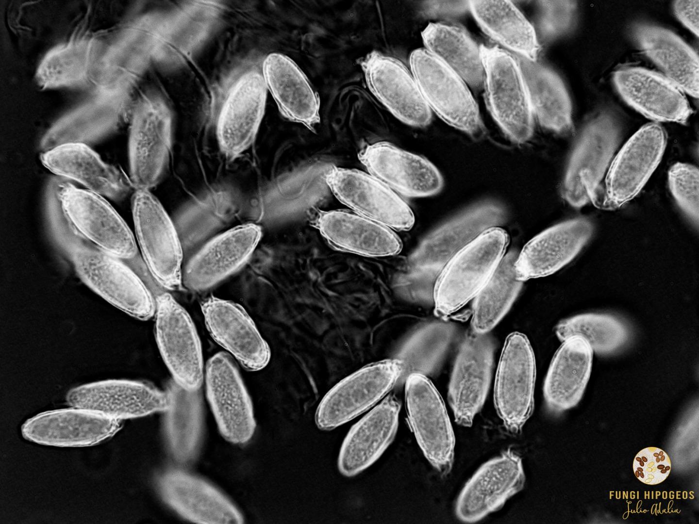 Imagen de portada 1362