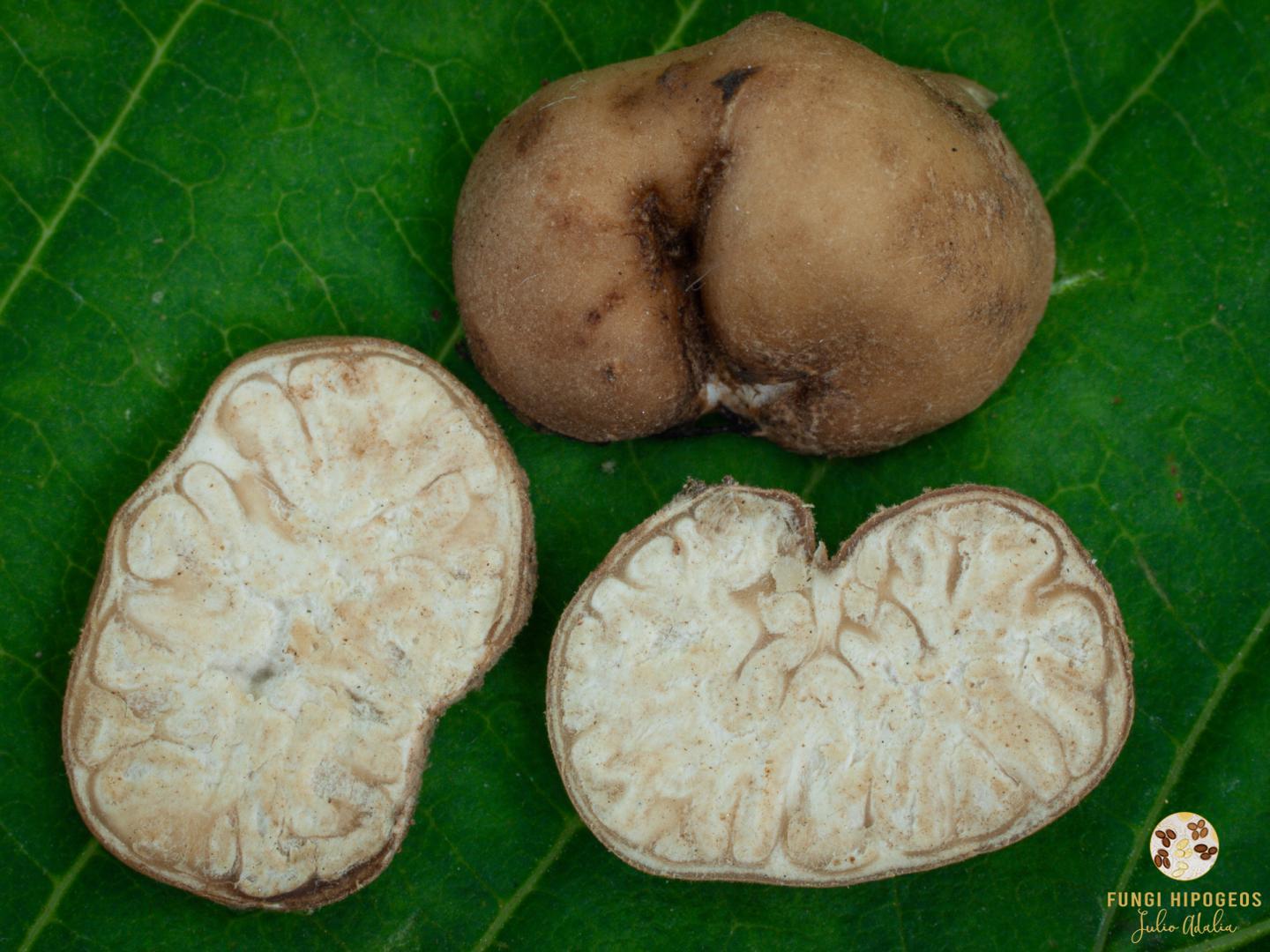 Imagen de portada 588