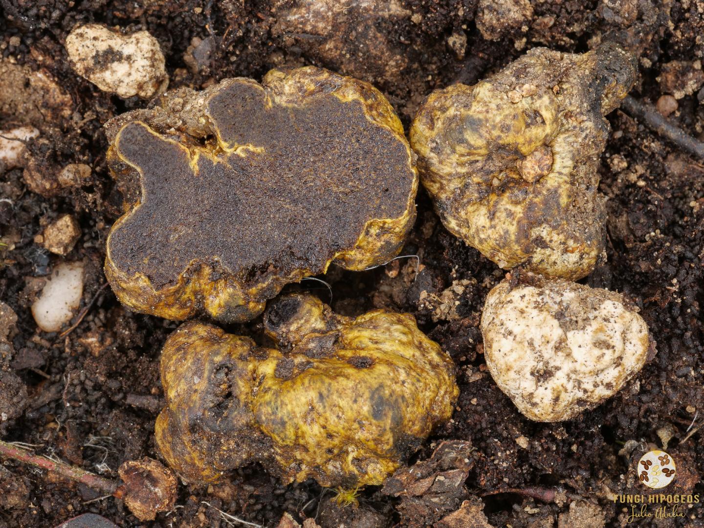 Imagen de portada 27