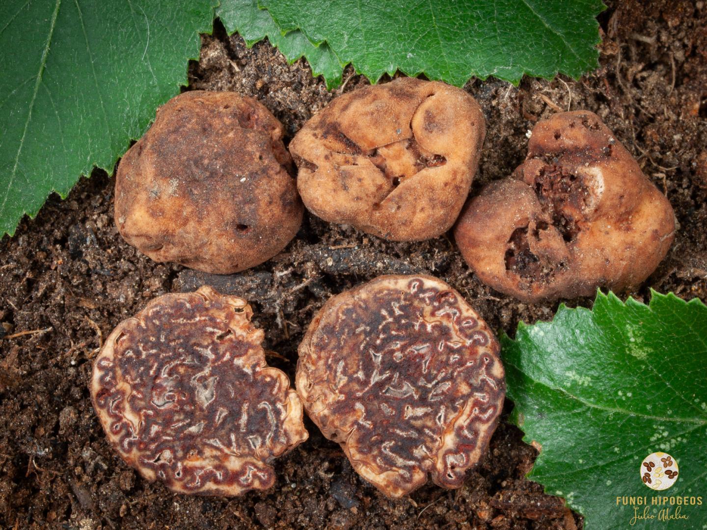 Imagen de portada 291