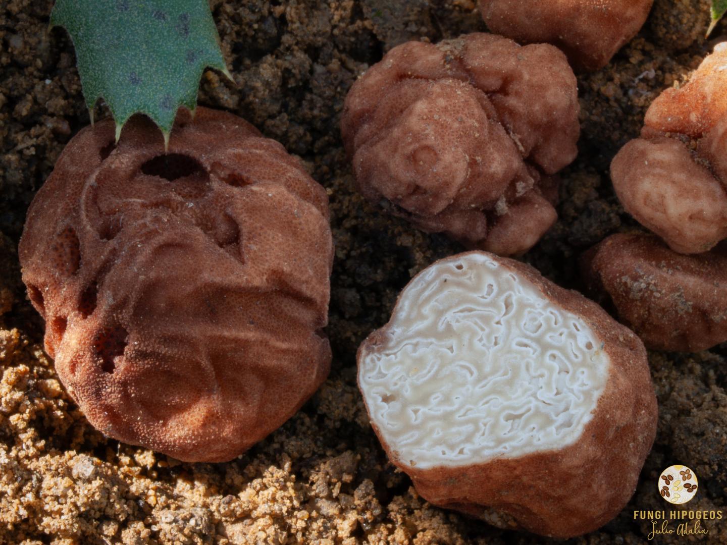 Imagen de portada 322