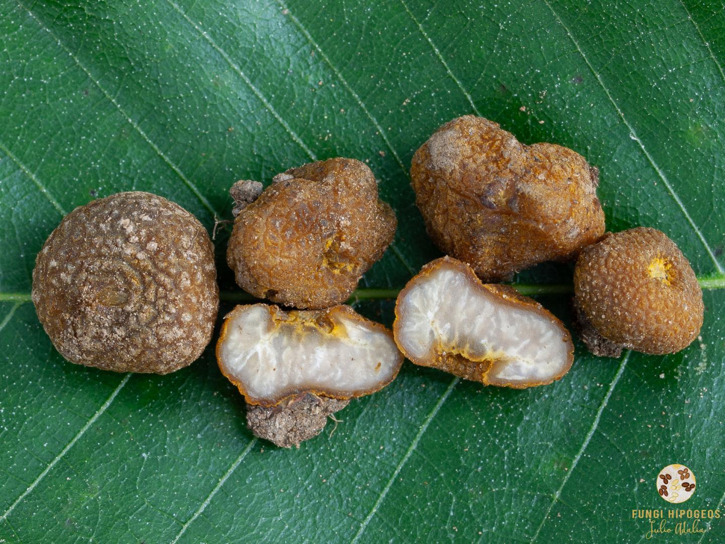 Imagen de portada 366