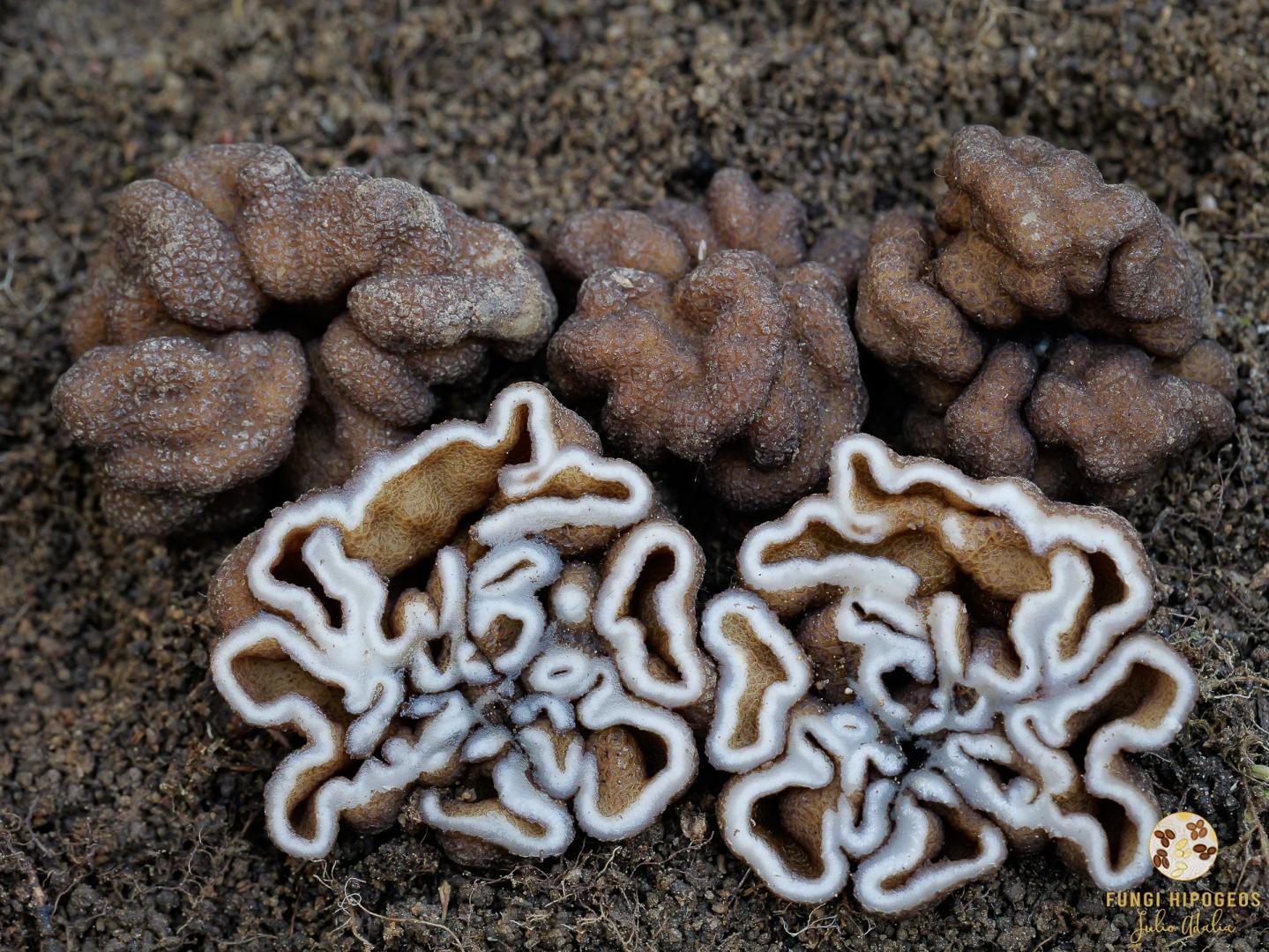 Imagen de portada 512