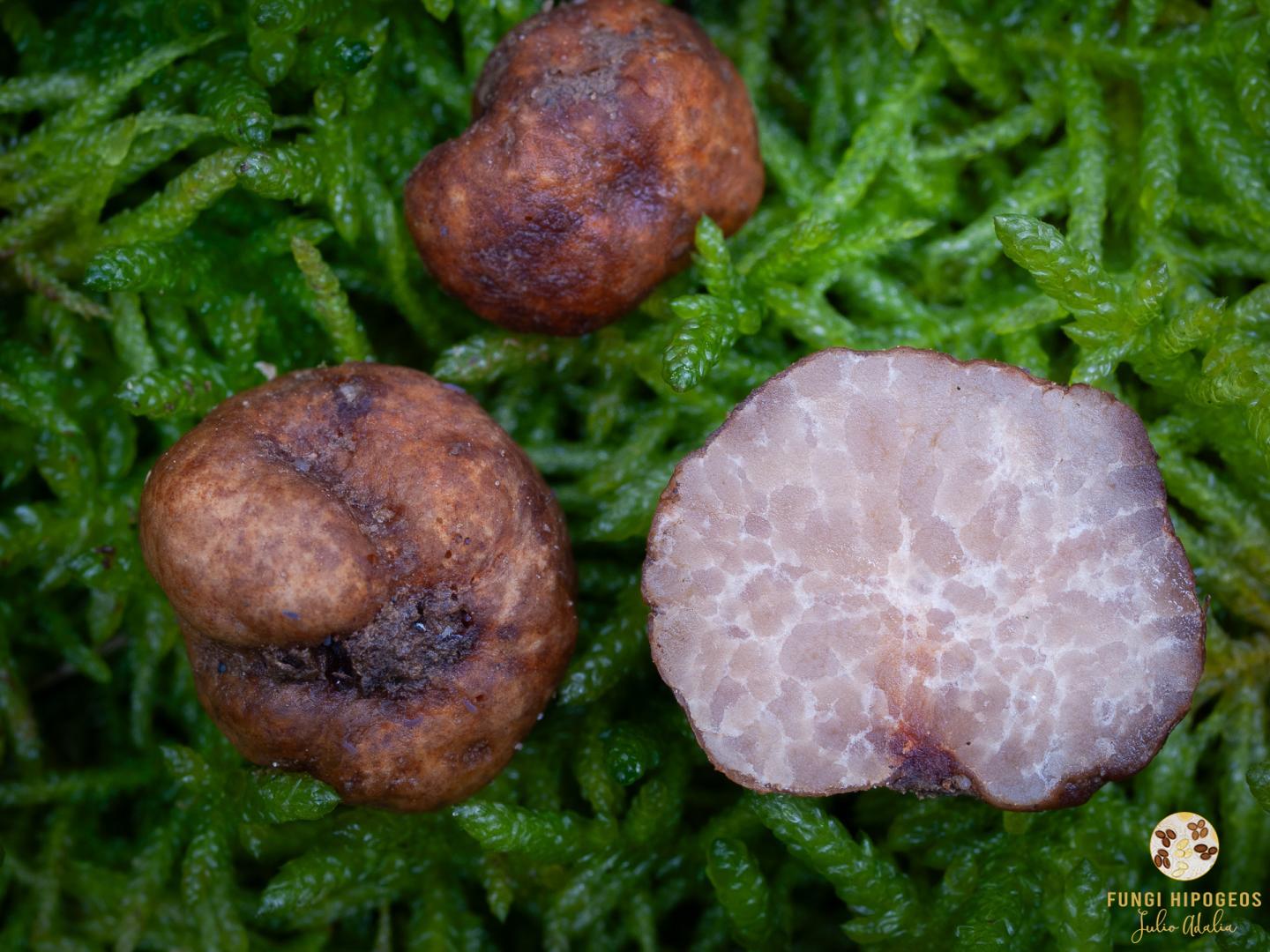 Imagen de portada 807