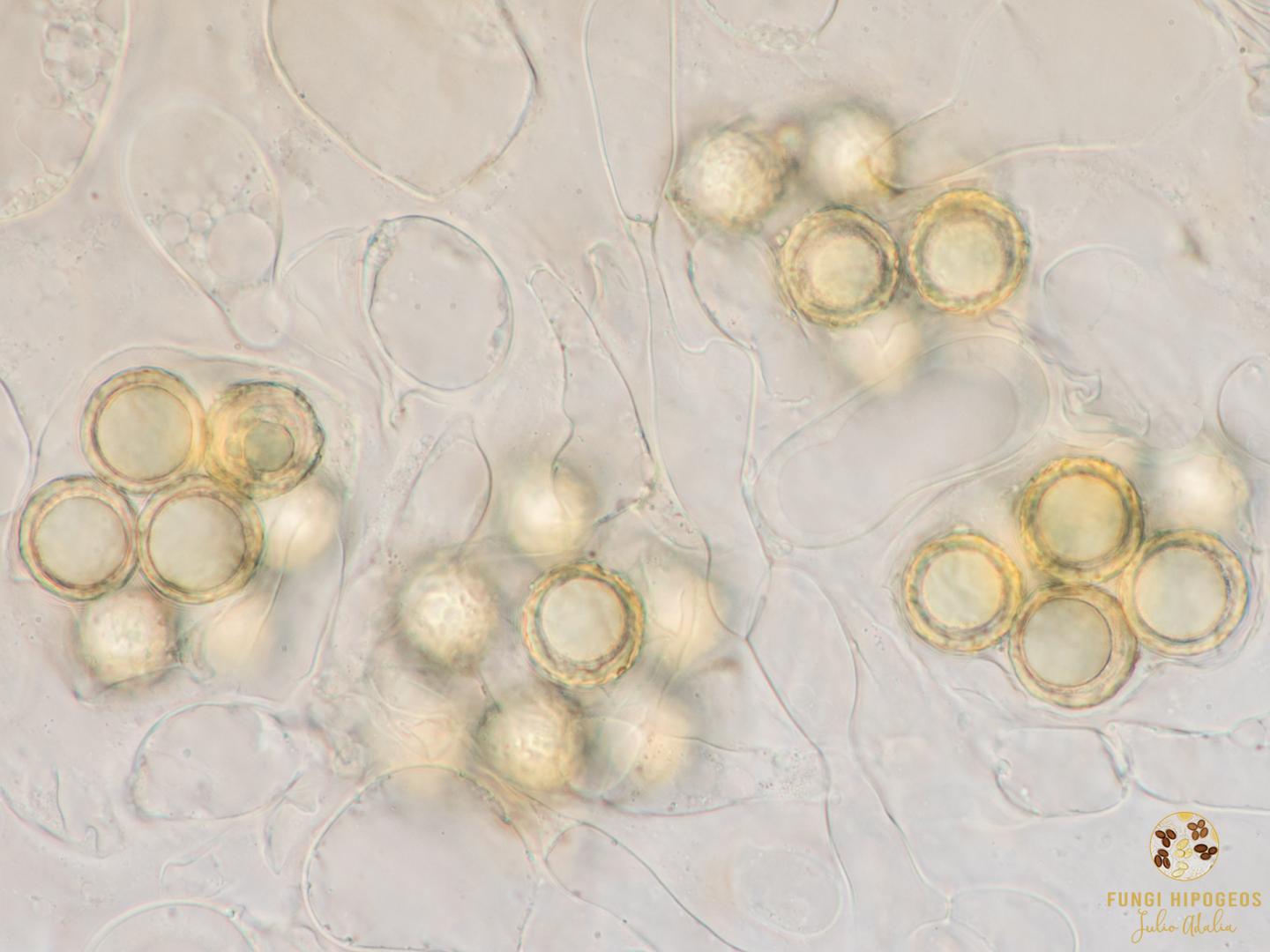 Imagen de portada 809