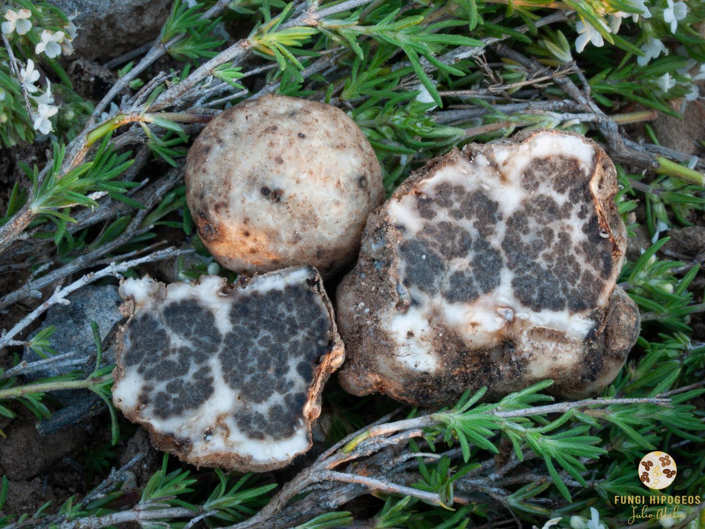 Imagen de portada 800